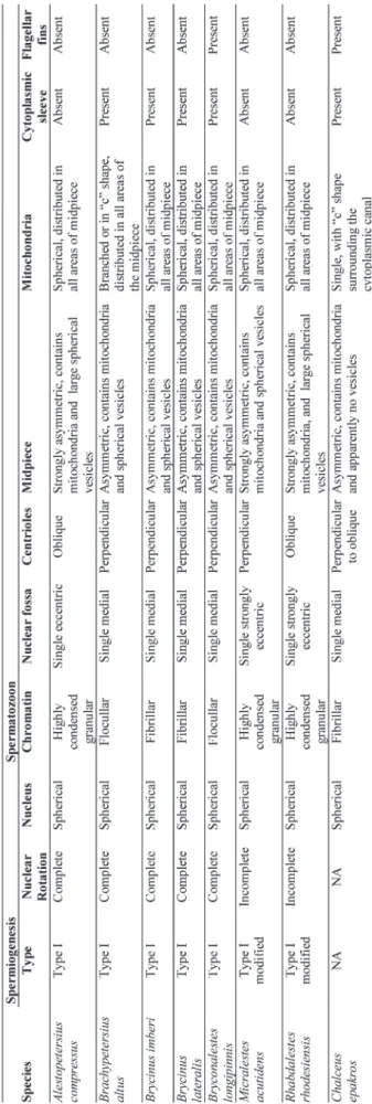 Table 1. Comparison of spermatic features in the Alestidae and Chalceus epakros. NA= data not available.