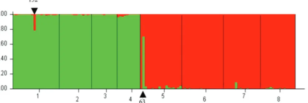 Fig. 2. Structure bar plots of probabilities of assignment of each individual from populations of CP in green (1 - TOC, 2 - ITU,  3 - ML and 4 - FU) and CK in red (5 - TOC, 6 - ITU, 7 - TRM, 8 - RD)