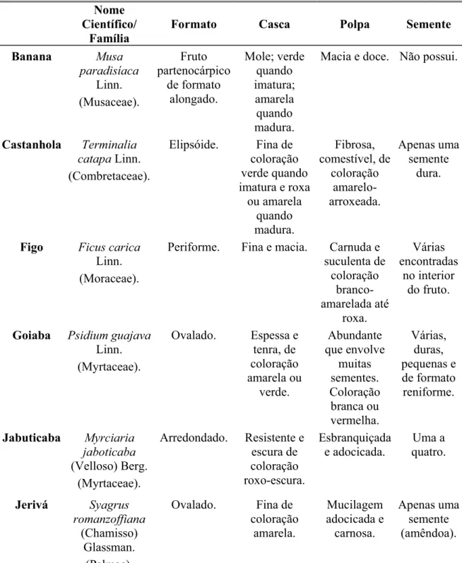 Tabela contendo o nome popular, científico e família e as características morfológicas dos frutos  oferecidos aos morcegos em cativeiro