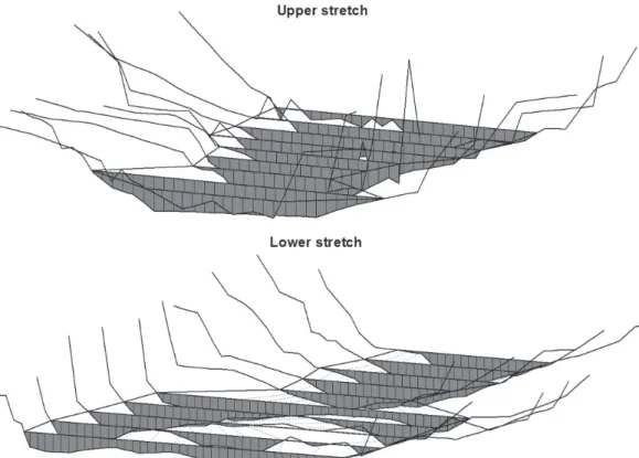Fig. 2. Isometric view of the cross-sections in the two target reaches of the riacho São Pedro