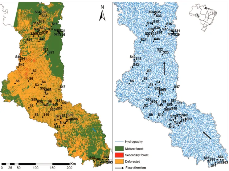 Fig. 1. Sampled sites along the rio Machado basin and the three main types of soil coverage (left)