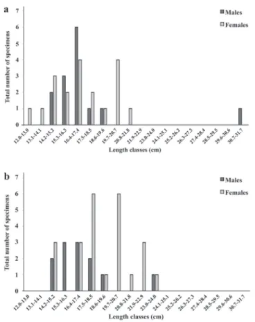 Fig. 5. Distribution of Loricariichthys melanocheilus in the  rio Ibicuí by length classes for separate sexes in point 3