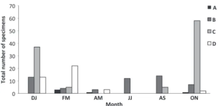 Fig.  9.  Bimonthly  variations  in  the  gonadosomatic  index  (GSI)  and  hepatosomatic  index  (HSI)  for  Loricariichthys  melanocheilus males in the rio Ibicuí, Rio Grande do Sul