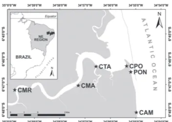 Fig.  1.  Map  indicating  the  location  of  the  study  area  (rio  Mamanguape  estuary)  on  the  coast  of  northeastern  Brazil