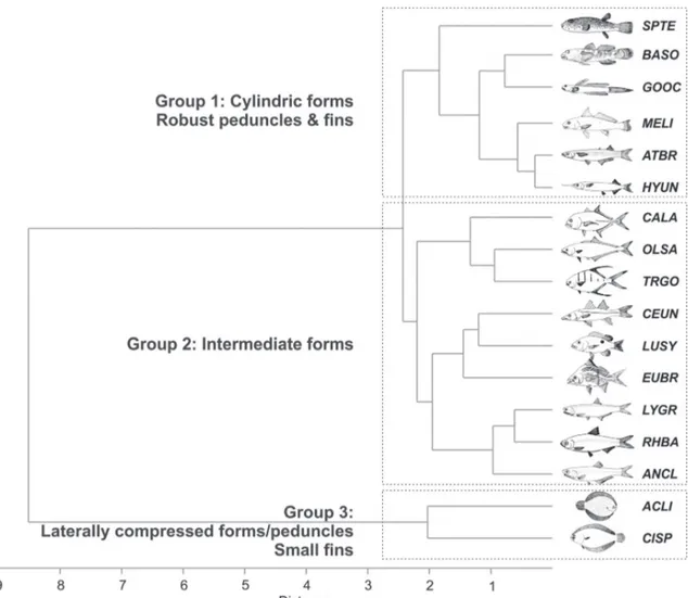 Fig.  6.  Diagram  of  Canonical  Discriminant  Analysis  for  the  ecomorphological  indices  of  the  fishes  grouping  in  habitat  types  in  the  rio  Mamanguape  estuary  (Mudflat,  Beach and Mangrove creeks).