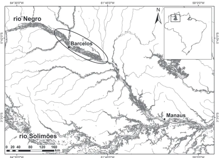 Fig. 1. Middle and lower stretch of the rio Negro (Amazonas, Brazilian Amazonia), with sampling area of Cichla temensis  near the Barcelos municipality highlighted by a circle.