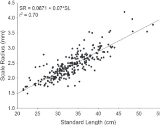 Fig. 3. Relationship between standard length (cm) and total  scale  radius  (mm)  of Cichla  temensis  from  the  middle  rio  Negro