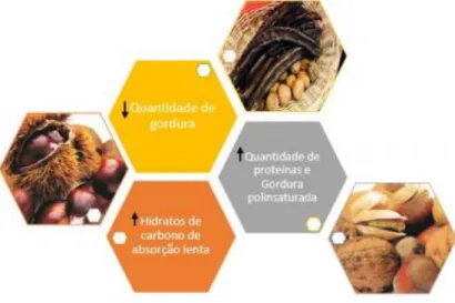 Figura 9. Efeitos benéficos dos frutos secos  (CNCFS, 2019) 