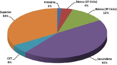 Figura 11. Nível de escolaridade dos participantes 