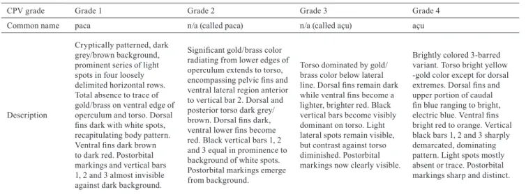 Table 1. Guide to color pattern variation (CPV) grades and local names of Cichla temensis.