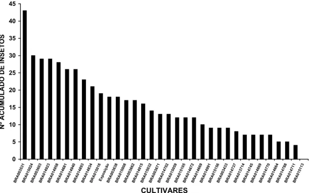 Figura 1 - Número acumulado (45, 60 e 90 min.) de adultos de Leptoglossus gonagra atraídos para plântulas de diferentes cultivares de abóbora.051015202530354045BRA003531BRA015024BRA003603BRA014923BRA014958BRA014681BRA014940BRA014893BRA014834BRA015016Exposi