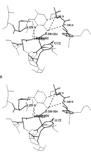 Fig. 4: molecular docking in the monosaccharide-binding site of  the studied lectins (thick lines) with glucose (A) and  man-nose (B).