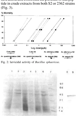 Fig. 2: larvicidal activity of Bacillus sphaericus.