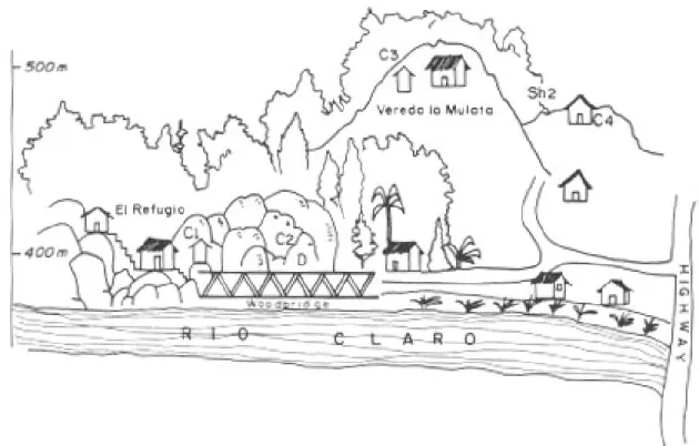 Fig. 3: scheme of trap location in the study.  Sites C1, C2, C3 and C4.