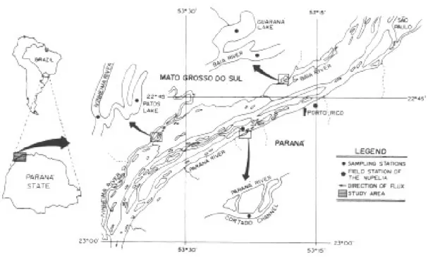 Fig. 1: sites of the collecting points: Patos Lake, Guaraná Lake, Baía River, Paraná River, Cortado Channel and Ivinheima River, in the high Paraná River, region of Porto Rico, Paraná, Brazil.