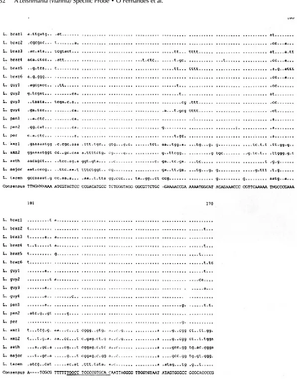 Fig. 2: multiple alignment of 170 bp of the conserved region from six different minicircle molecules of Leishmania braziliensis, four minicircles of L