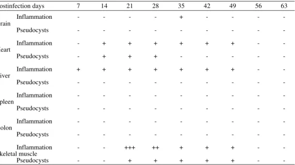 TABLE III