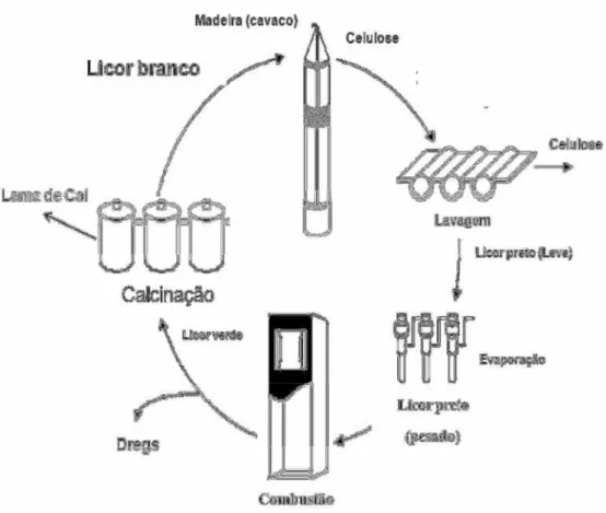Figura  1  -  Fluxograma  do  processo  de  produção  da  celulose  e  recuperação  dos  elementos químicos