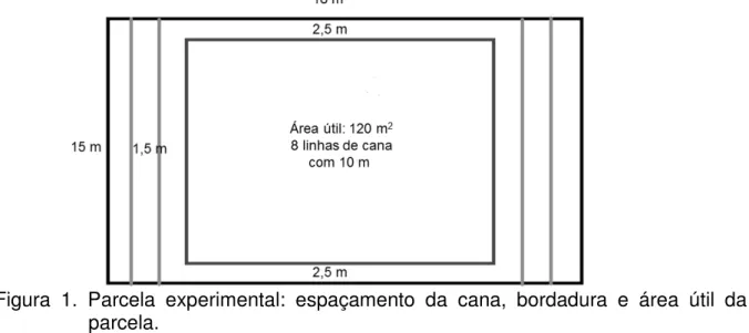 Figura  1.  Parcela  experimental:  espaçamento  da  cana,  bordadura  e  área  útil  da  parcela