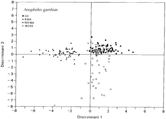 Fig. 2: discriminant function plot showing the distribution of individuals of four Anopheles gambiae s.s