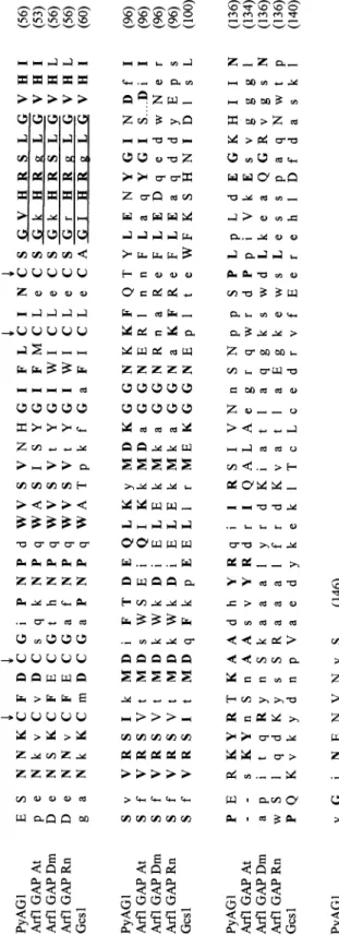 Fig. 6: the NH 2 -terminal sequences of PyAG1, ARF1-GAP of Rattus norvegicus and Drosophila melanogaster, Gcs1 of Saccha- Saccha-romyces cerevisiae are compared with the Blast program