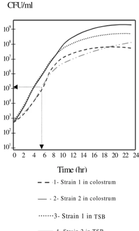 Fig. 2: colony forming units per mililiter detected in 57 human milk presenting methicillin resistant Staphylococcus aureus contamination.