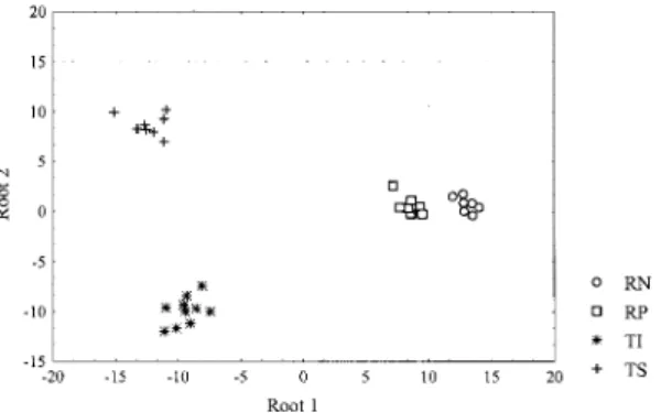 Fig. 3: discriminant analysis performed with  12 variables of the  adults antennae. The four species were completely separated.