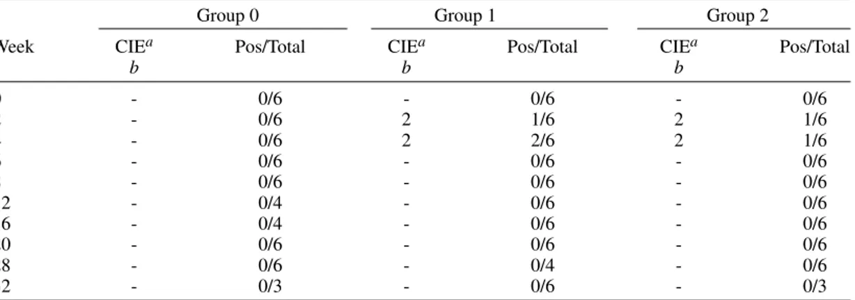 TABLE II