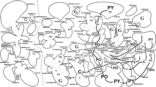 Fig. 4: distribution of gallic acid (G) and of oxidative chemical lineages on a Dahlgrenogram (Dahlgren 1980)