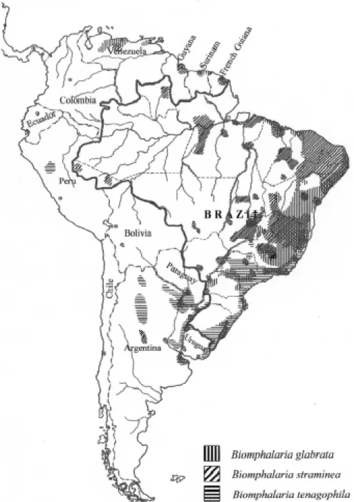 Fig. 1: present distribution of schistosome vectors in South America.