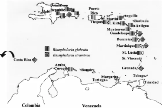 Fig. 2: present distribution of Biomphalaria glabrata and B. straminea in the Caribbean.