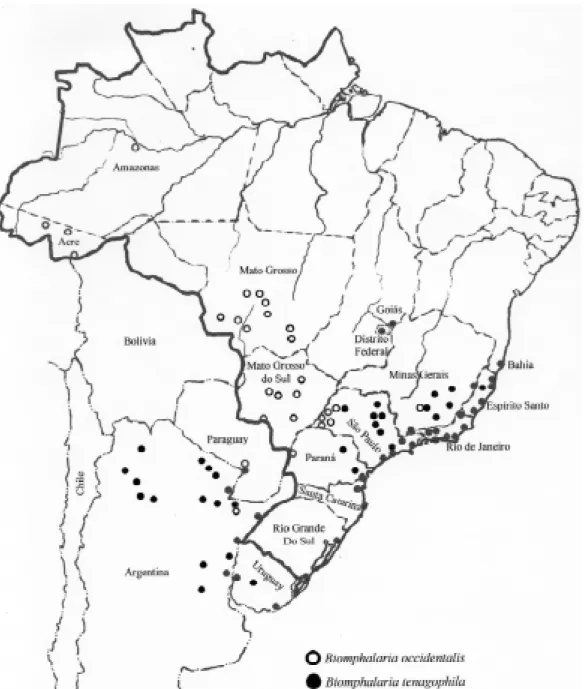 Fig. 4: present distribution of Biomphalaria occidentalis and B. tenagophila.