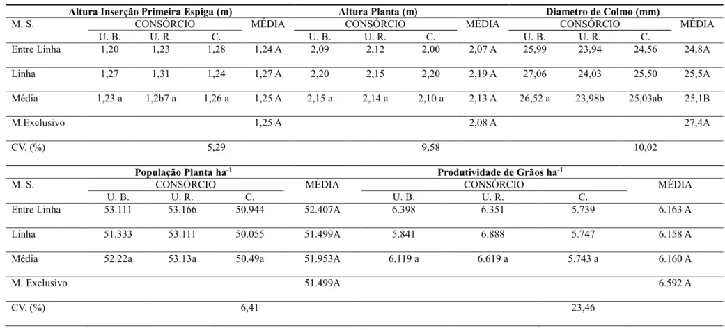 Tabela 1: Valores da biometria e componentes de produção da cultura do milho nos consorcio com Urochloa brizantha, Urochloa ruzizienses, Cajanus cajan , na área experimental da Fazenda de  Ensino, Pesquisa e Extensão da UNESP, Campus de Ilha Solteira, loca