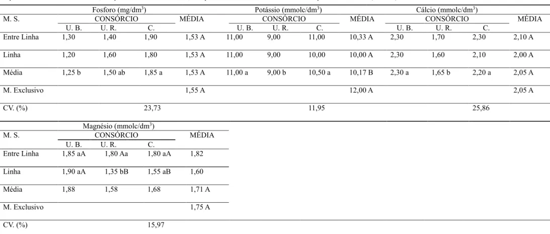 Tabela  7: Valores de  Fosforo, Potássio,  Cálcio  e  Magnésio  obtido  na  silagem  de  milho  com  espigas em  consórcio  com  Urochloa  brizantha,  Urochloa  ruzizienses,  Cajanus cajan ,  na  área  experimental da Fazenda de Ensino, Pesquisa e Extensão