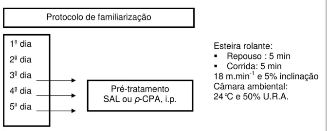 Figura 2: Protocolo de familiarização e pré-tratamento intraperitoneal 1  dia 2  dia 3  dia 4  dia 5  dia Protocolo de familiarização Pré-tratamento SAL ou p-CPA, i.p