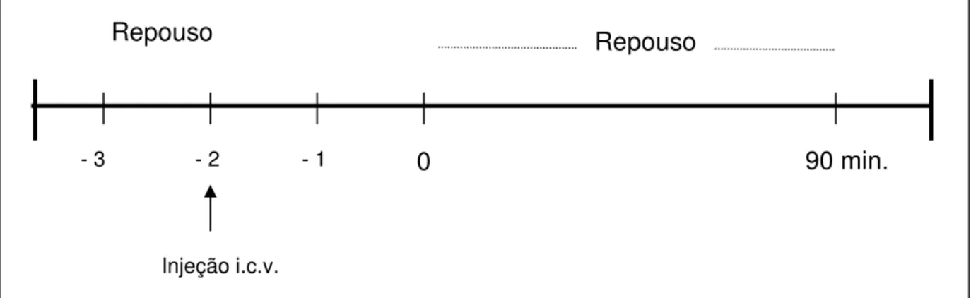Figura 4: Protocolo Experimental de repouso Repouso 