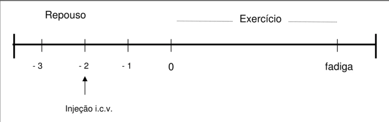 Figura 5: Protocolo Experimental de exercício até a fadiga 