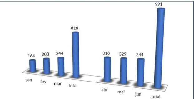 Figura 9 - Gráfico de Faturamento de consultas Neurologia  – 2013 