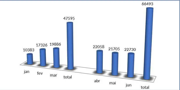 Figura 11 - Gráfico de Faturamento de consultas em todo hospital  –  2013 