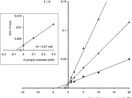 Fig. 1: effect of α-ketoisocaproate on the inhibitory activity of N-propyl oxamate (NPOx) on HADH-isozyme II from Trypanosoma cruzi Nayarit strain
