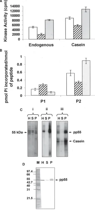 Fig. 1: endogenous PK, casein kinase (CK), P1 kinase and P2 kinase activities in whole-cell extract, soluble and particulate fractions from  Trypanosoma evansi