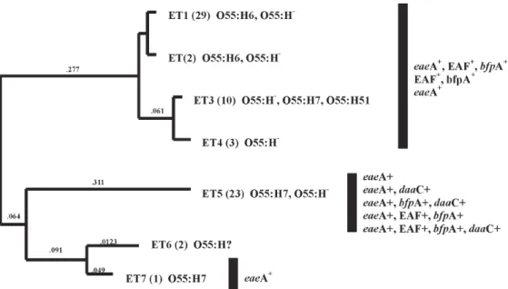Fig. 3: dendrogram of genetic relationship of 7 ETs of Escherichia coli O55 strains. Genetic distance is estimated in terms of electro- electro-phoretically detectable codon differences per enzyme locus
