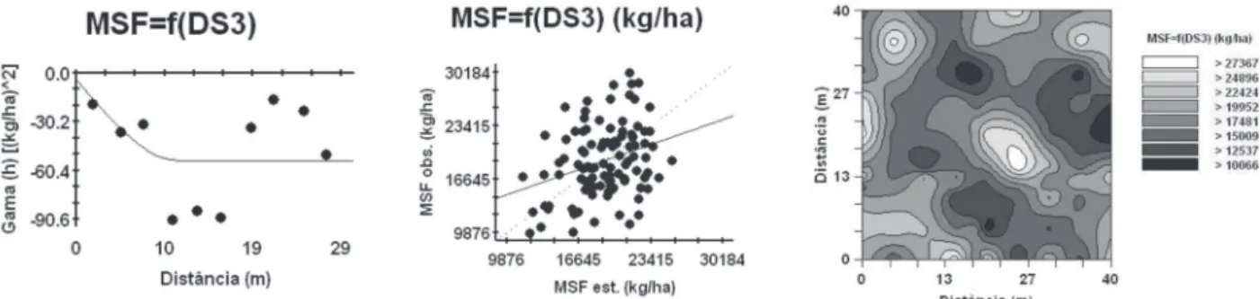Figura 1. Semivariograma cruzado, validação cruzada e mapa de co-krigagem da produtividade da massa de matéria seca da consorciação de forragens (MSF) em função da densidade do solo (DS3) de um Latossolo Vermelho distroférrico de Selvíria (MS).