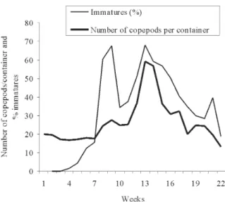 Fig. 4: mean number of preimaginal and adult Mesocyclops annulatus per container during the experiment and percentage of preimaginals M