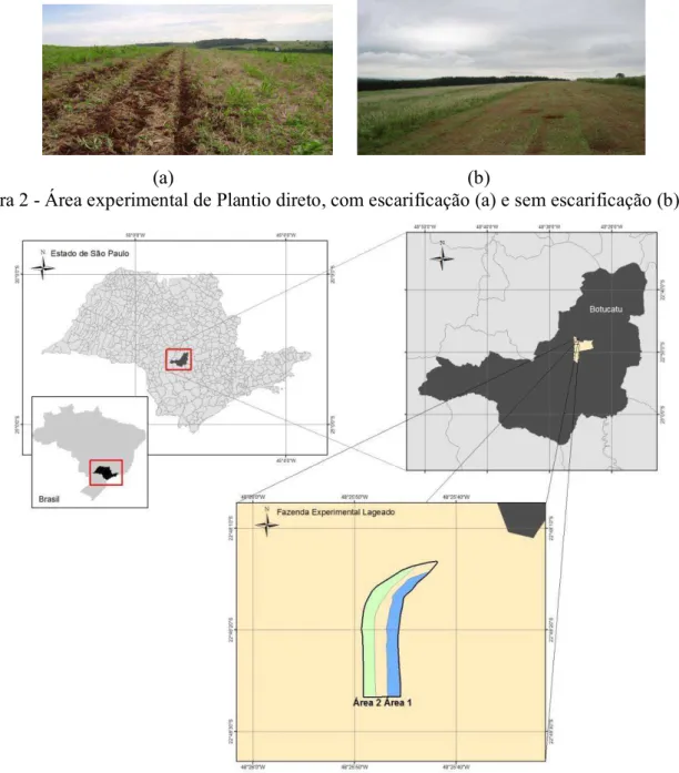 Figura 2 - Área experimental de Plantio direto, com escarificação (a) e sem escarificação (b)