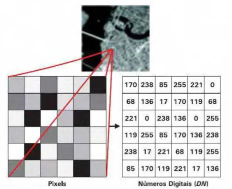 Figura 3. Amostra de pixels da imagem, com a respectiva grade de valores digitais,  variando entre 0 e 255 níveis de cinza.(Schowengerdt, 1997)