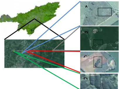 Figura 6. Imagens de satélite das áreas de amostragem, delimitando cada tratamento. Banana  Cambissolo (A); Banana Argissolo (B); Mata Cambissolo (C) e Mata Argissolo (D)