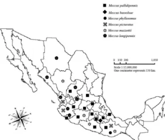 Fig. 1: distribution of the species of the Phyllosoma complex in Mexico   (based on Dujardin et al