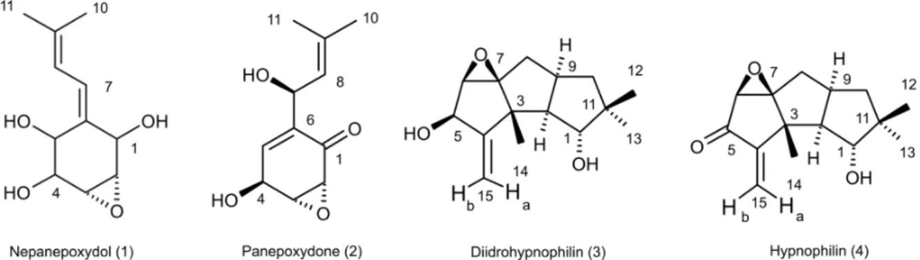 Fig. 2: chemical structures of the compounds isolated from the organic extract of Lentinus strigosus.