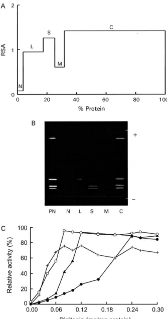 Fig. 3: distribution profile of SOD activity in the fractions from the  differential  centrifugation